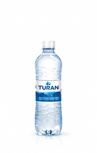 Вода минеральная негазированная, Turan, 0,5 л