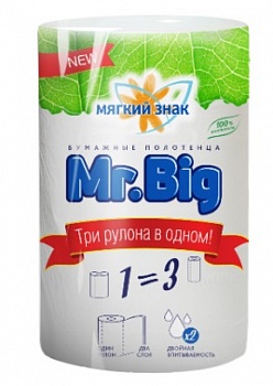 Полотенце бумажное Mr.Big, Мягкий знак, 1 рулон